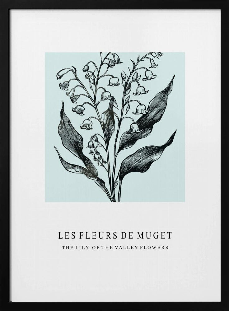 Lelietje-van-dalenbloemen in een monochrome illustratie | Poster