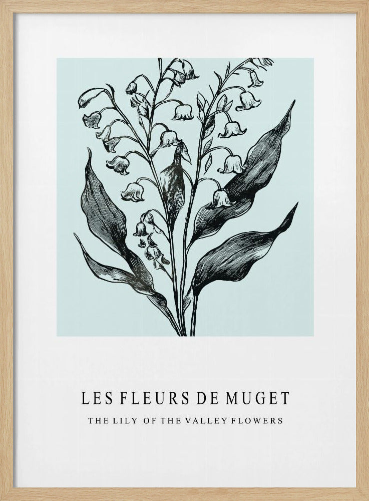 Lelietje-van-dalenbloemen in een monochrome illustratie | Poster