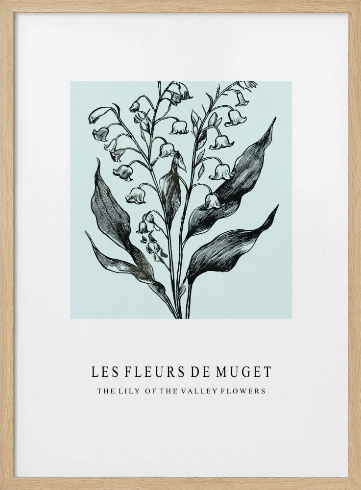 Lelietje-van-dalenbloemen in een monochrome illustratie | Poster