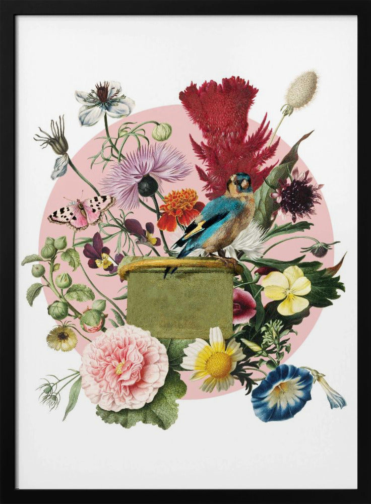 Kleurrijke vogel op een doos | Poster