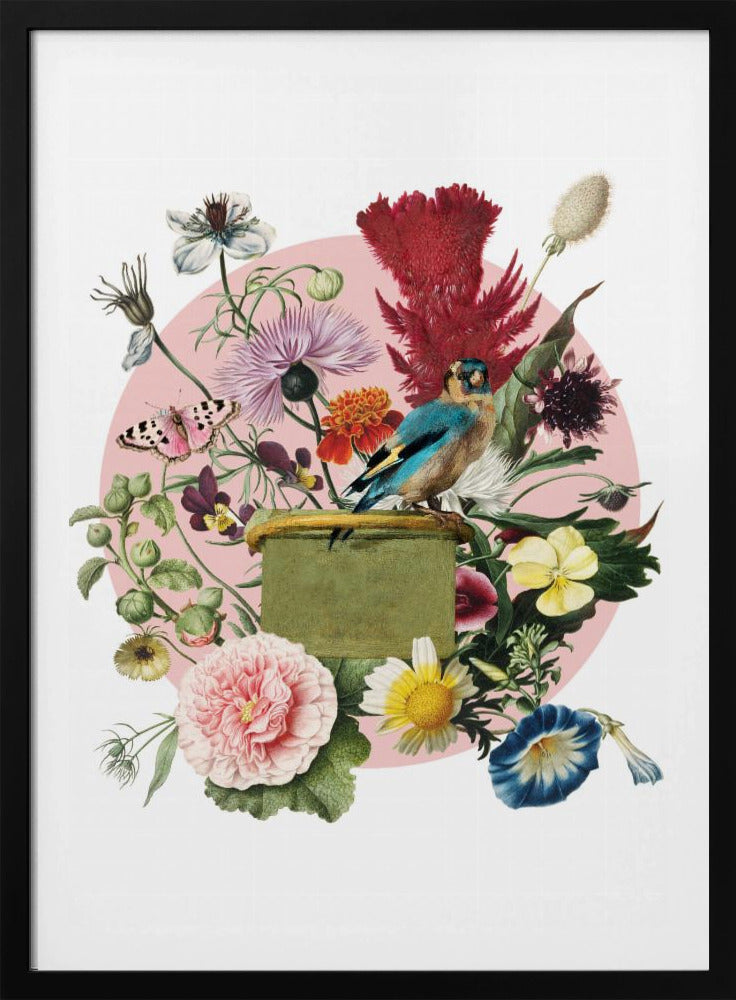 Kleurrijke vogel op een doos | Poster