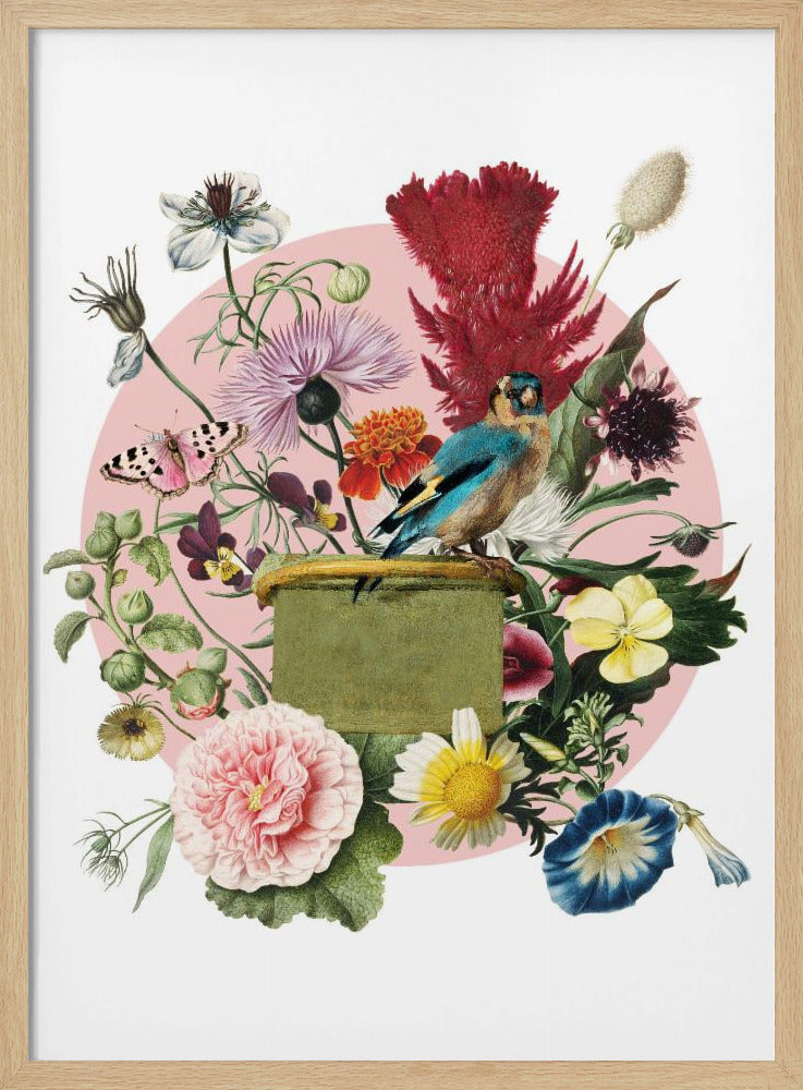 Kleurrijke vogel op een doos | Poster
