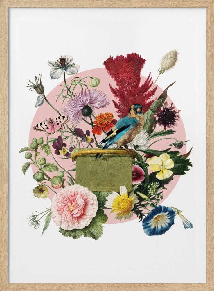Kleurrijke vogel op een doos | Poster