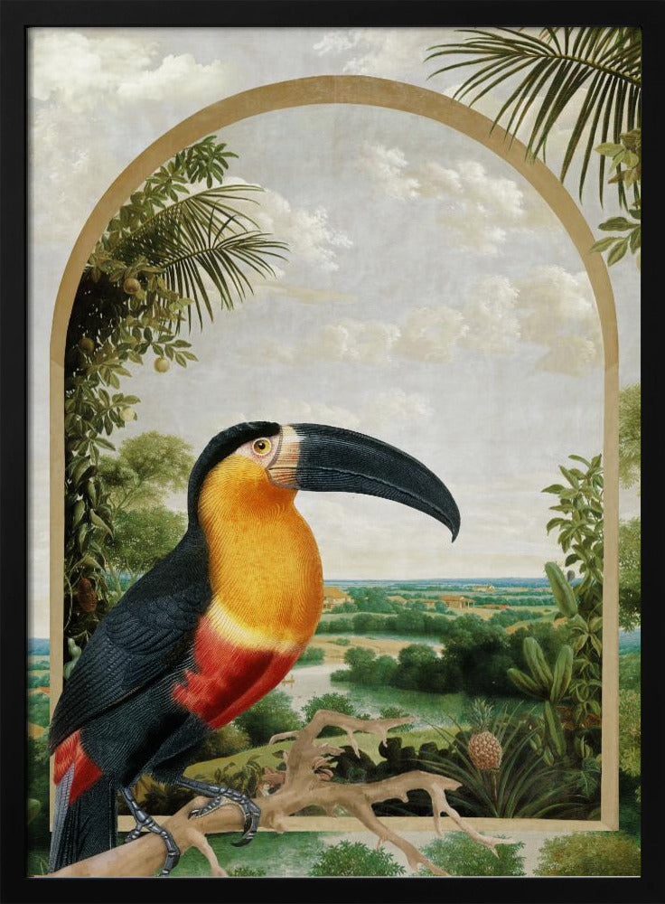 Toekan op een tak | Poster