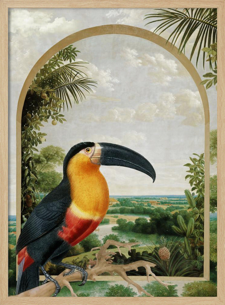 Toekan op een tak | Poster