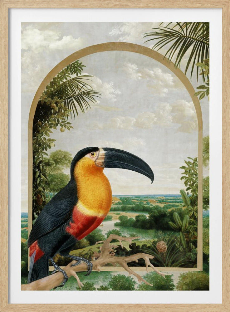 Toekan op een tak | Poster