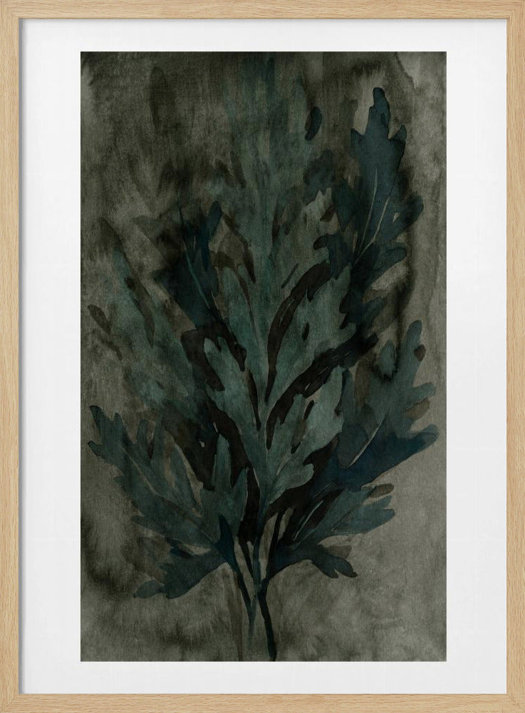 Diepwaterbloei 3 | Poster