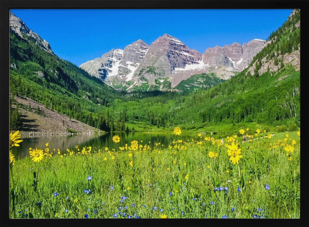 Maroon Bells Wilde Bloemen | Poster