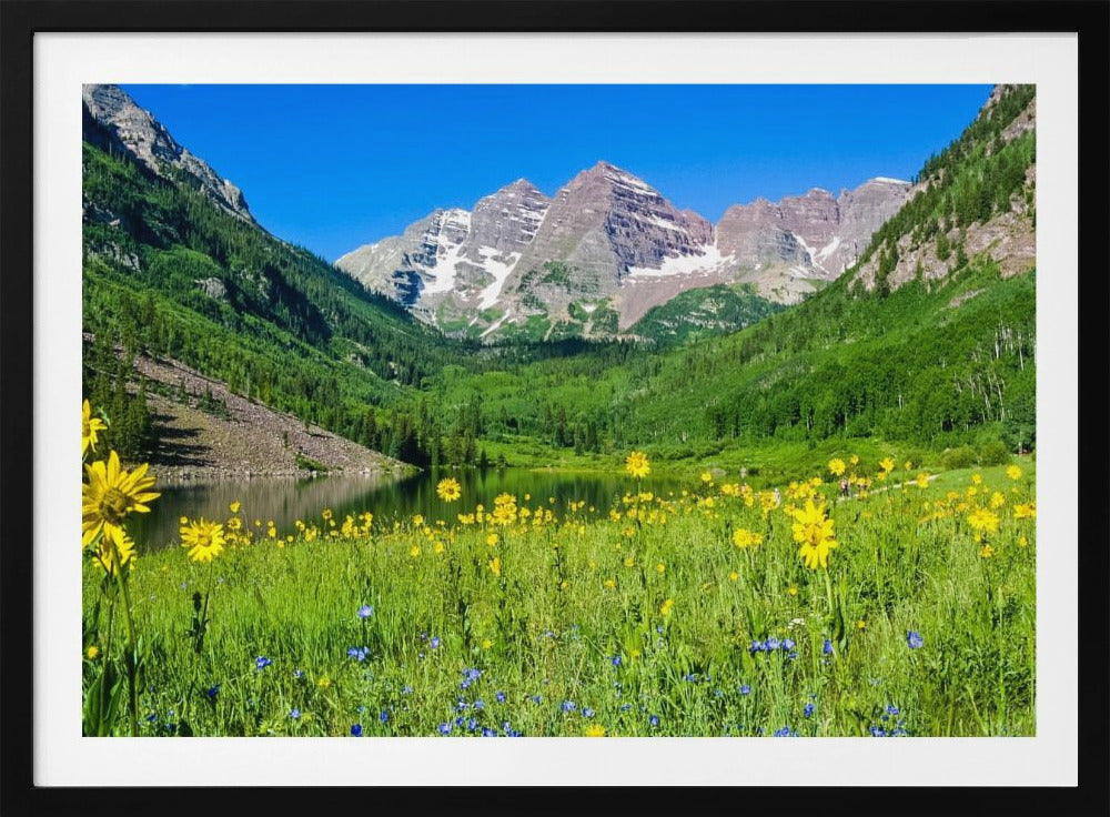 Maroon Bells Wilde Bloemen | Poster