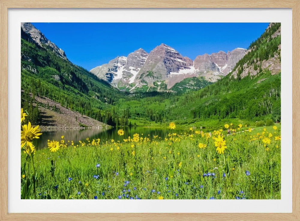Maroon Bells Wilde Bloemen | Poster