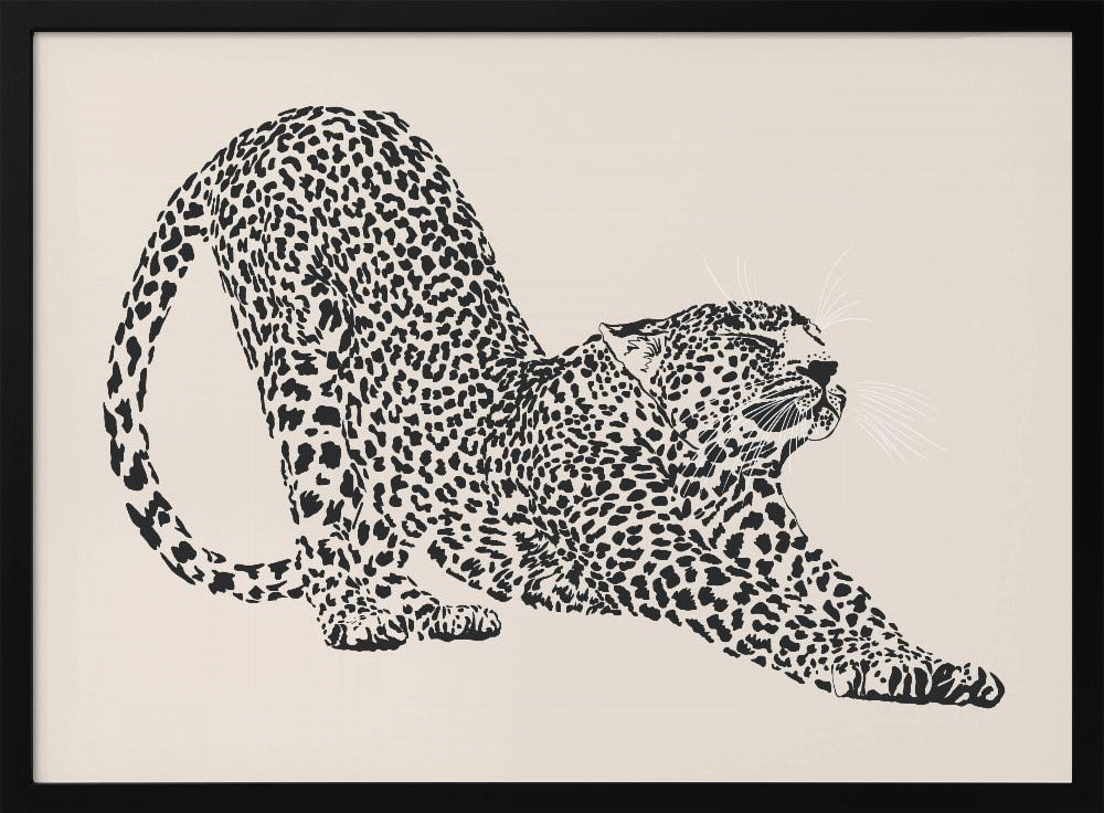Cheeta | Poster