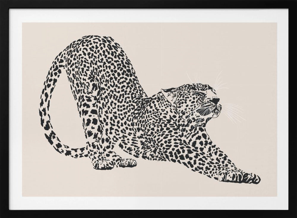 Cheeta | Poster