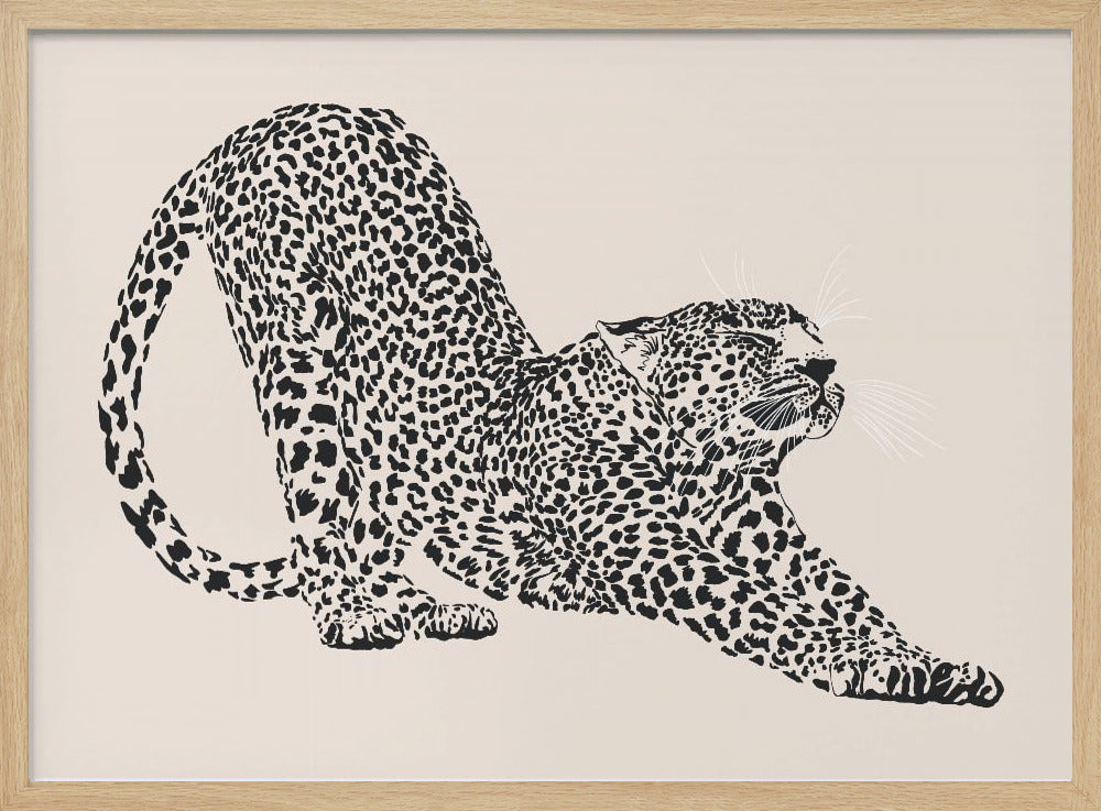 Cheeta | Poster