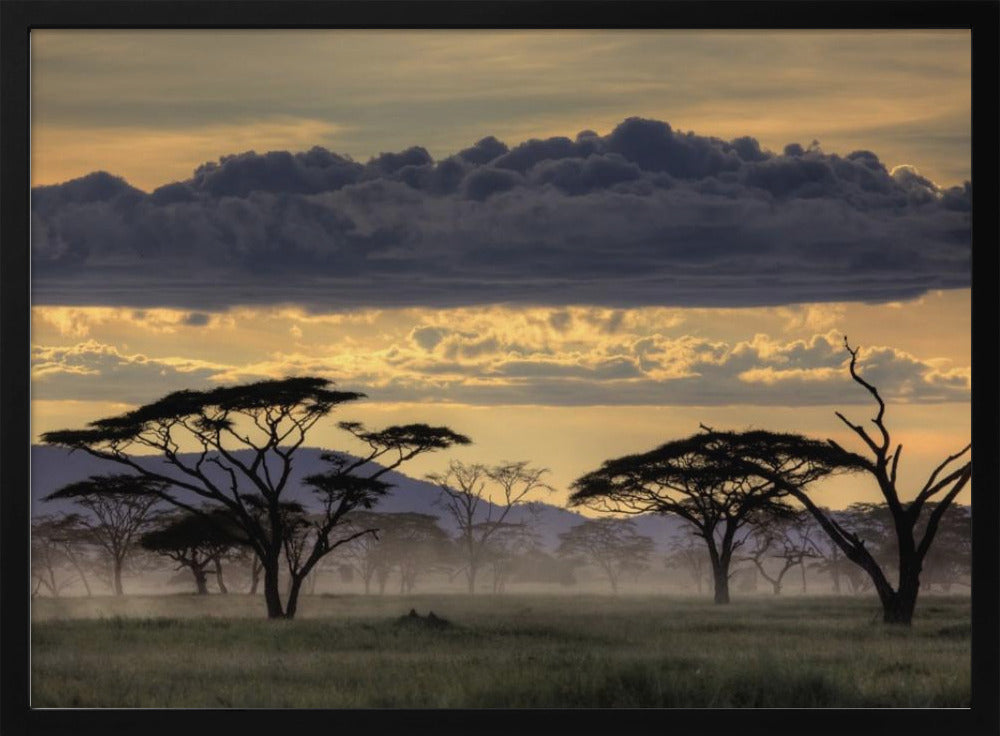 Goedenavond Tanzania | Poster