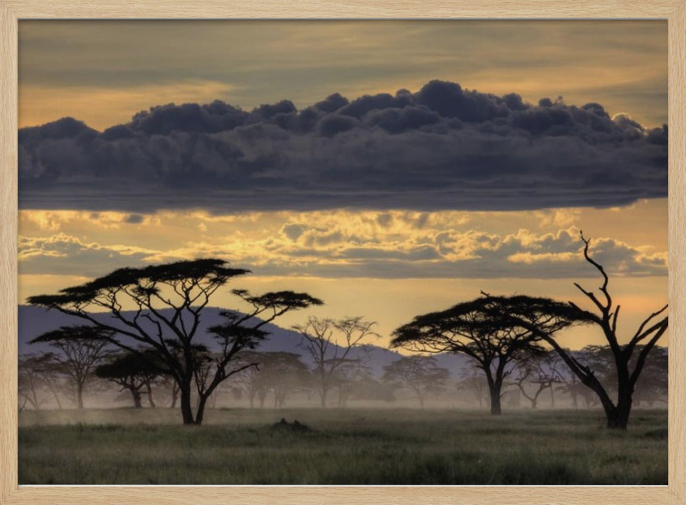 Goedenavond Tanzania | Poster