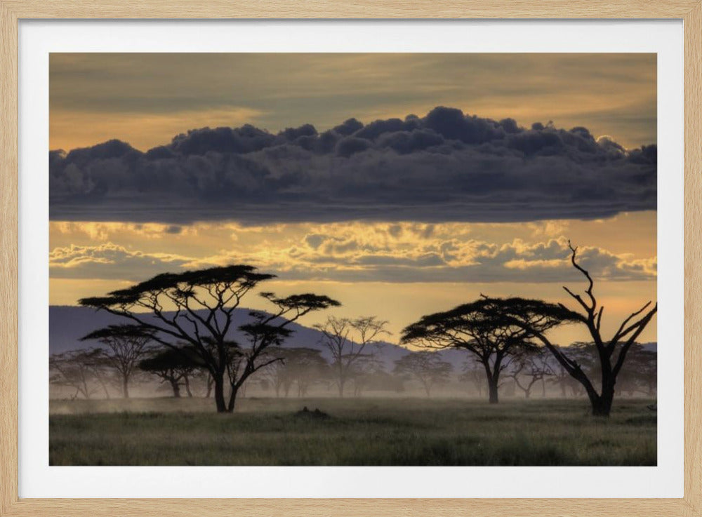 Goedenavond Tanzania | Poster