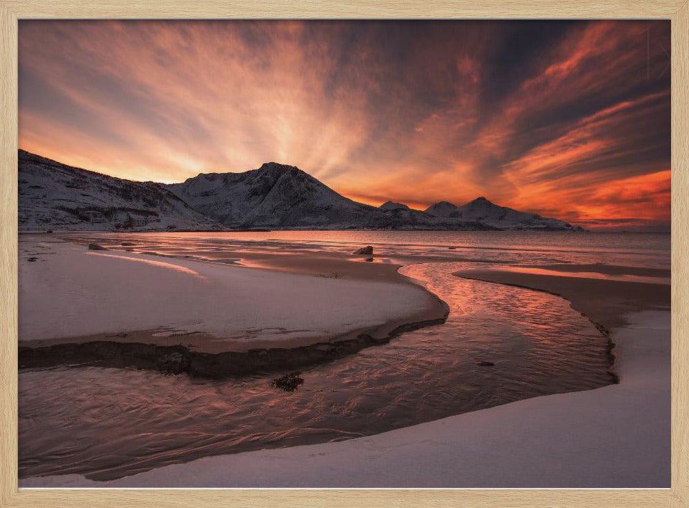 Gouden zonsondergang | Poster