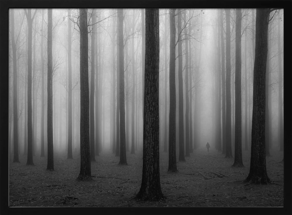 In de mist | Poster