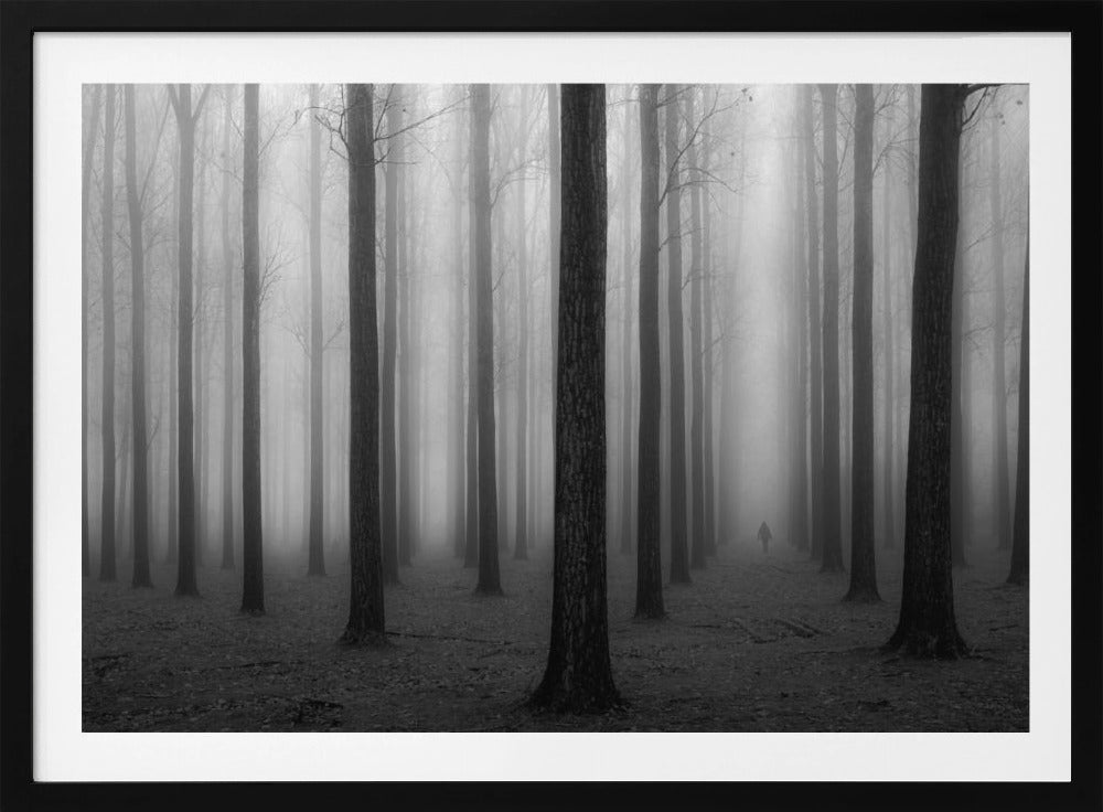 In de mist | Poster