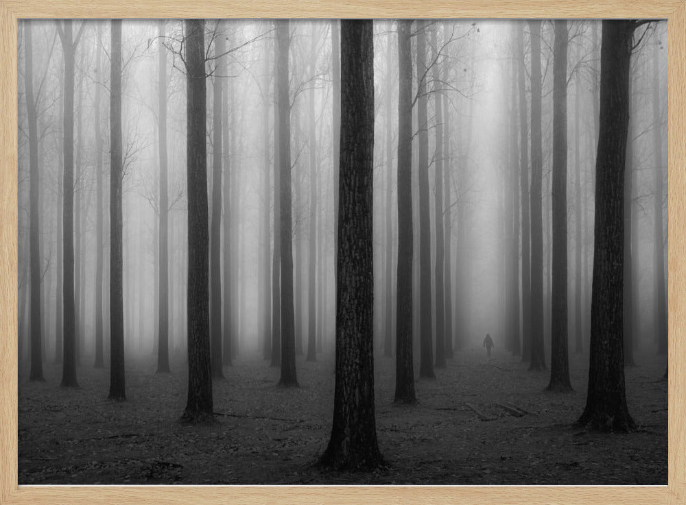 In de mist | Poster