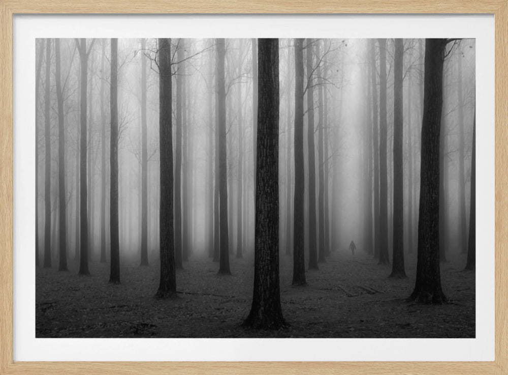 In de mist | Poster