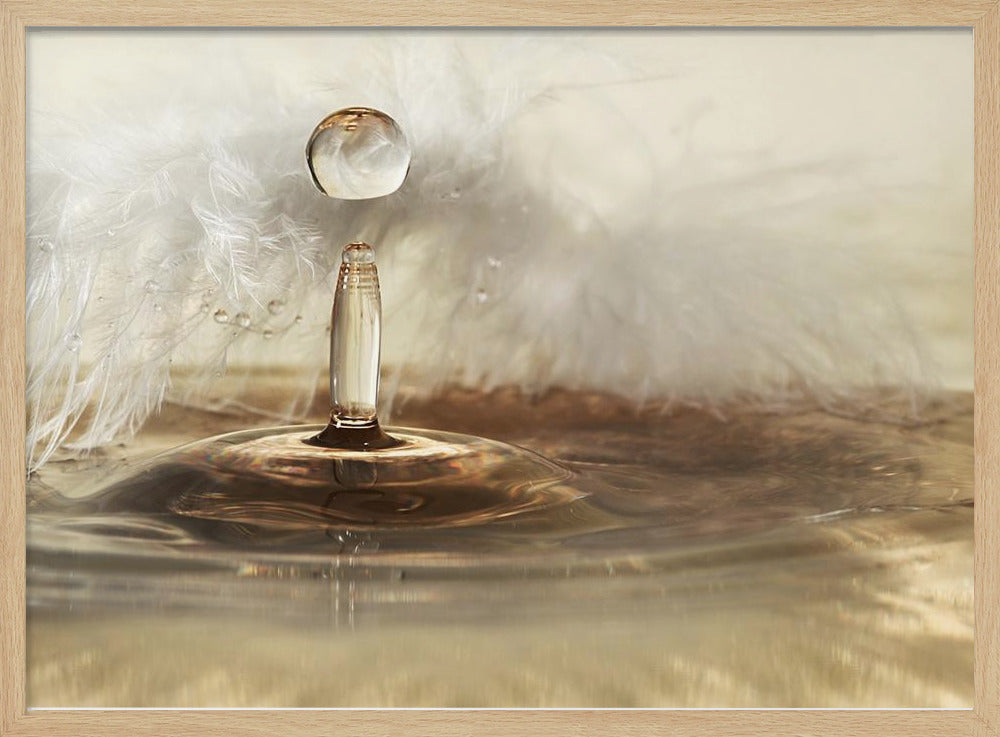 Gouden veerdruppels | Poster