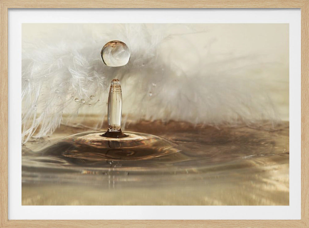 Gouden veerdruppels | Poster