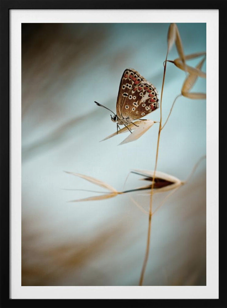Droom in blauw | Poster