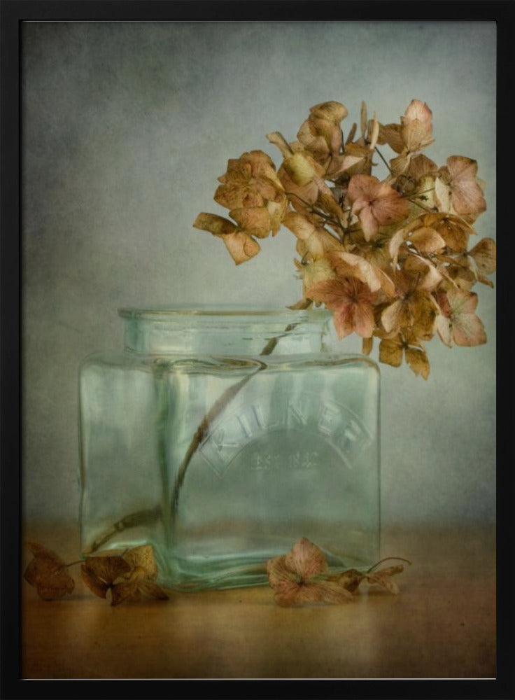 Hydrangea | Poster