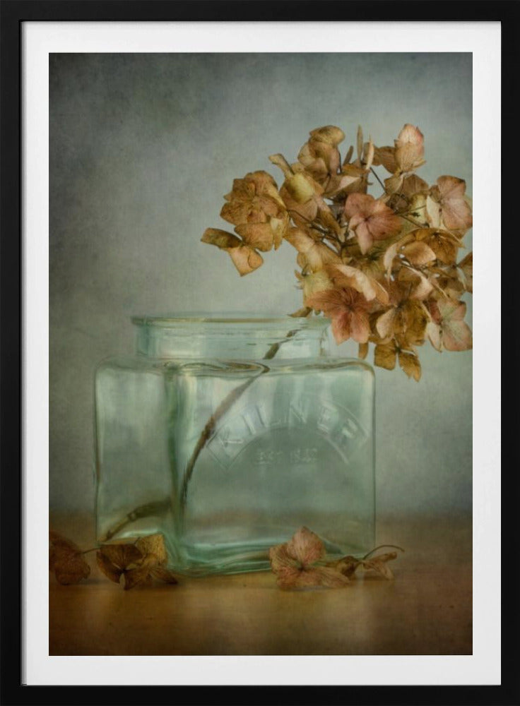 Hydrangea | Poster
