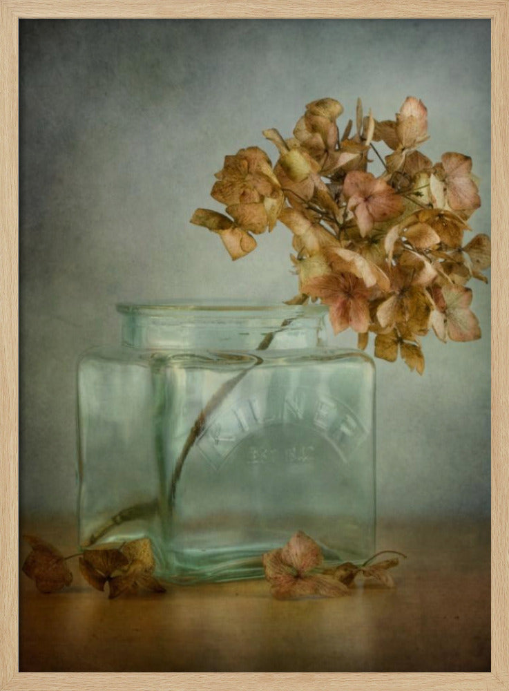 Hydrangea | Poster