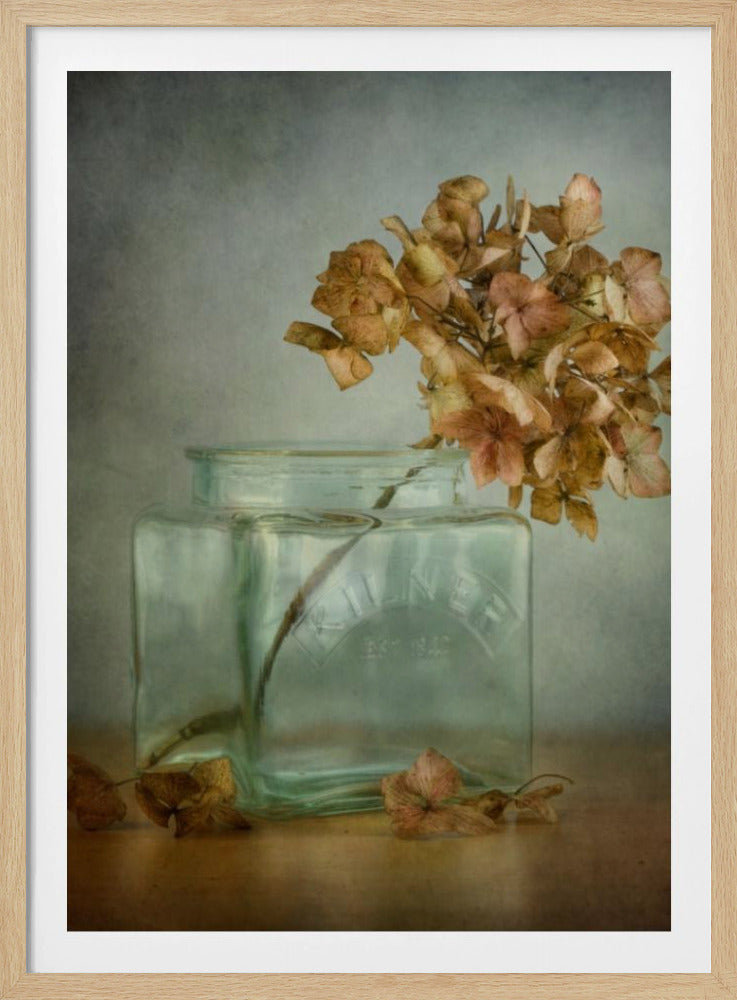 Hydrangea | Poster