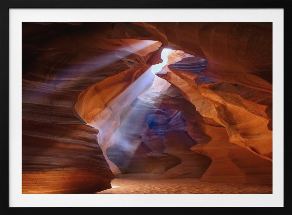 Puur Fotodelight 2 | Poster