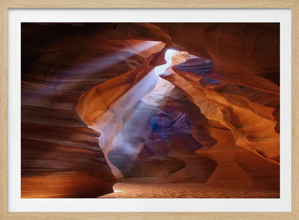 Puur Fotodelight 2 | Poster