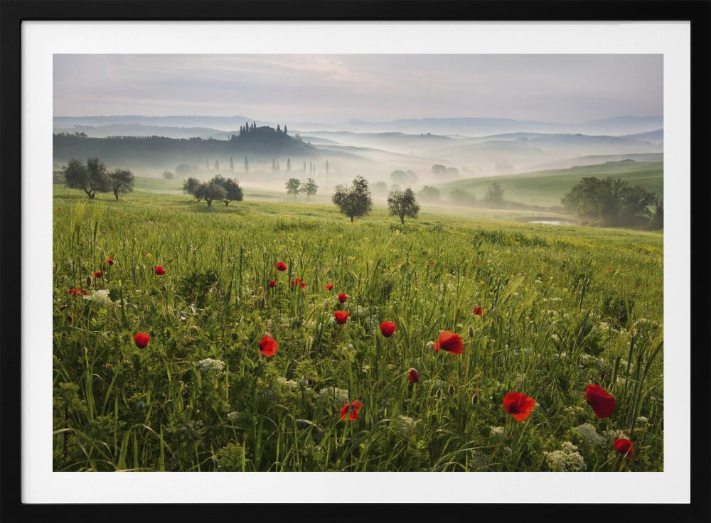 Toscaanse lente | Poster
