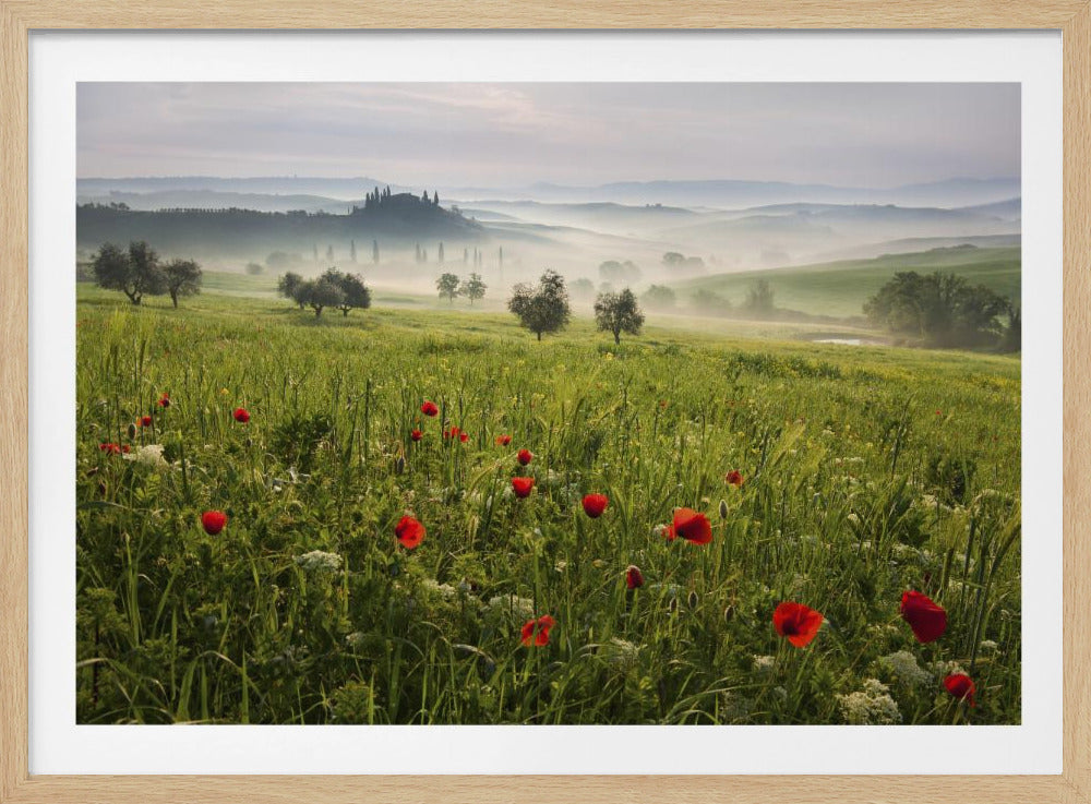 Toscaanse lente | Poster