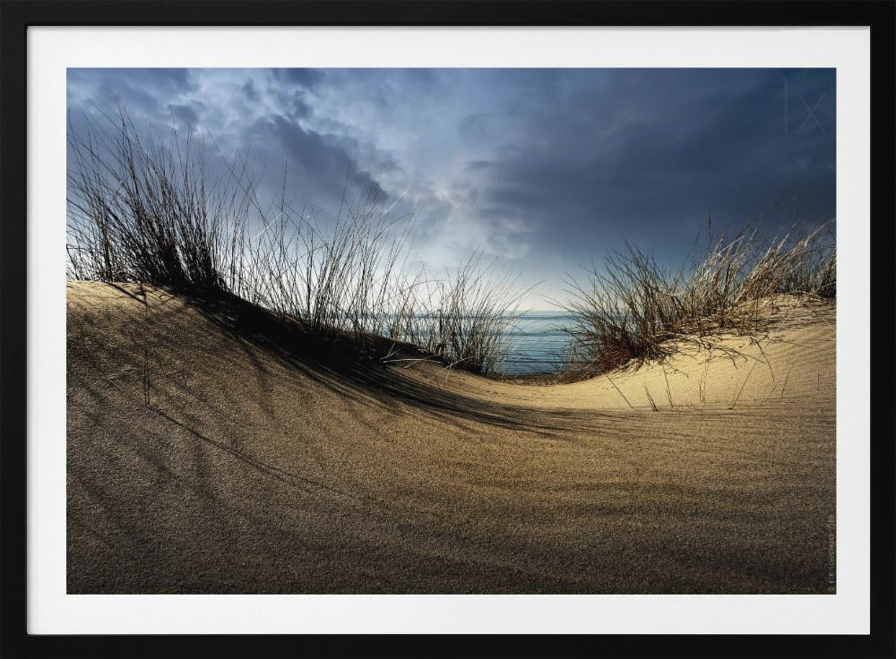 Duinen........... | Poster