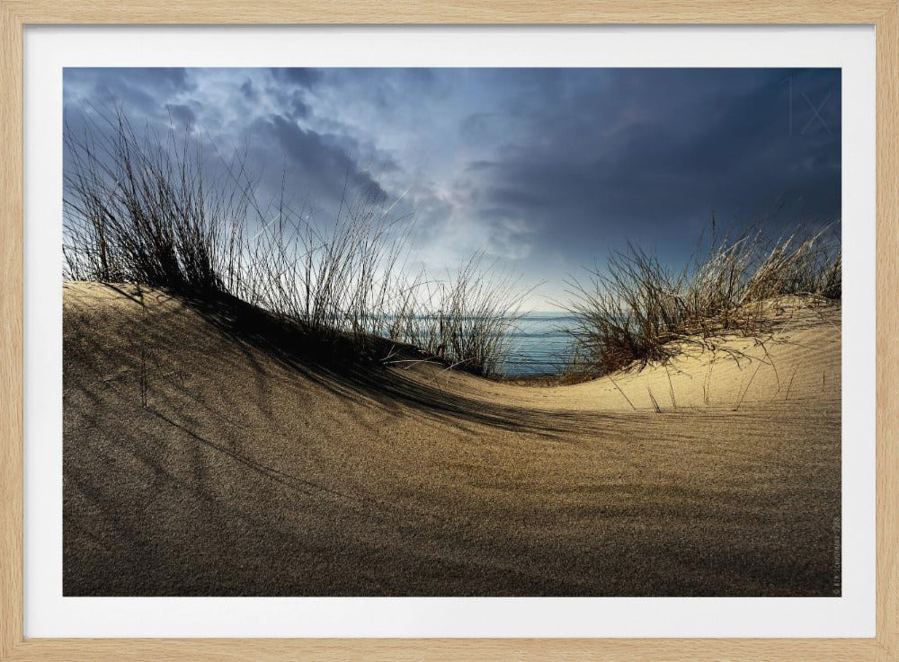 Duinen........... | Poster