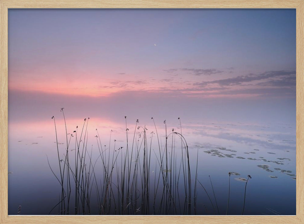Meer | Poster