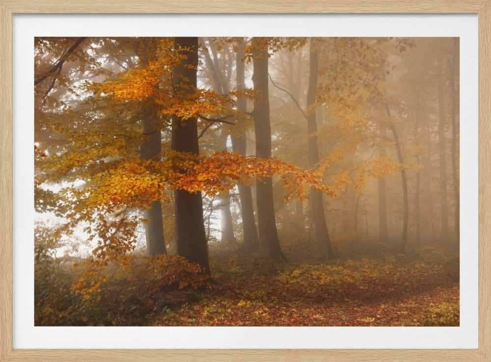 Rand van het bos | Poster
