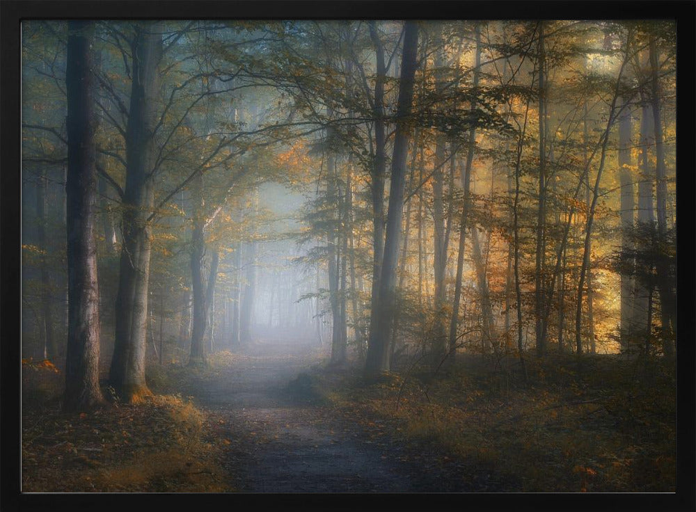 herfstsymfonie | Poster