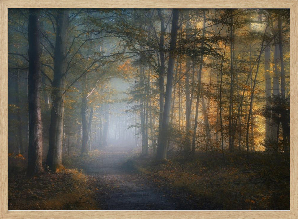 herfstsymfonie | Poster
