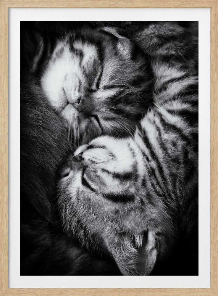 Yin en Yang | Poster