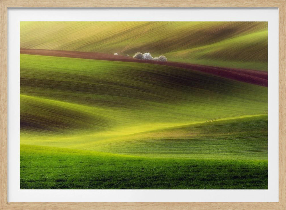 Gouden velden | Poster