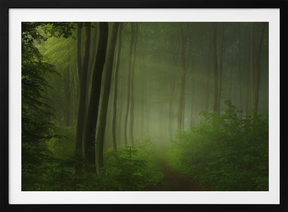 bosochtend | Poster