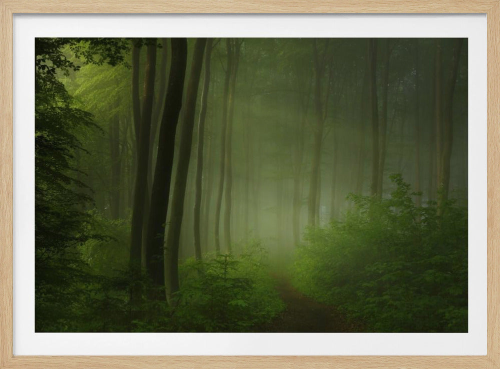 bosochtend | Poster
