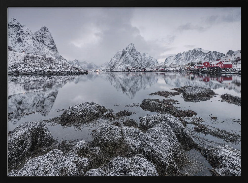 Reine | Poster