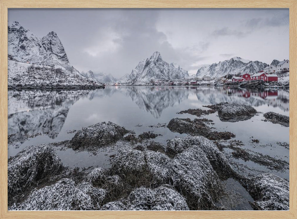 Reine | Poster