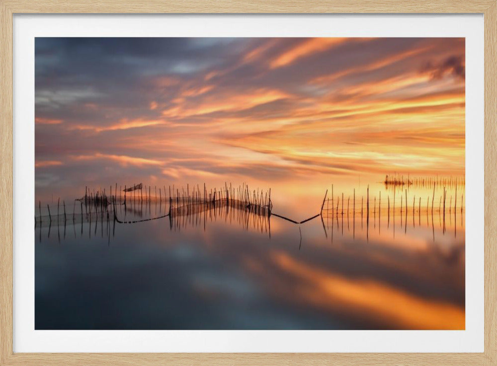 Visnetten | Poster
