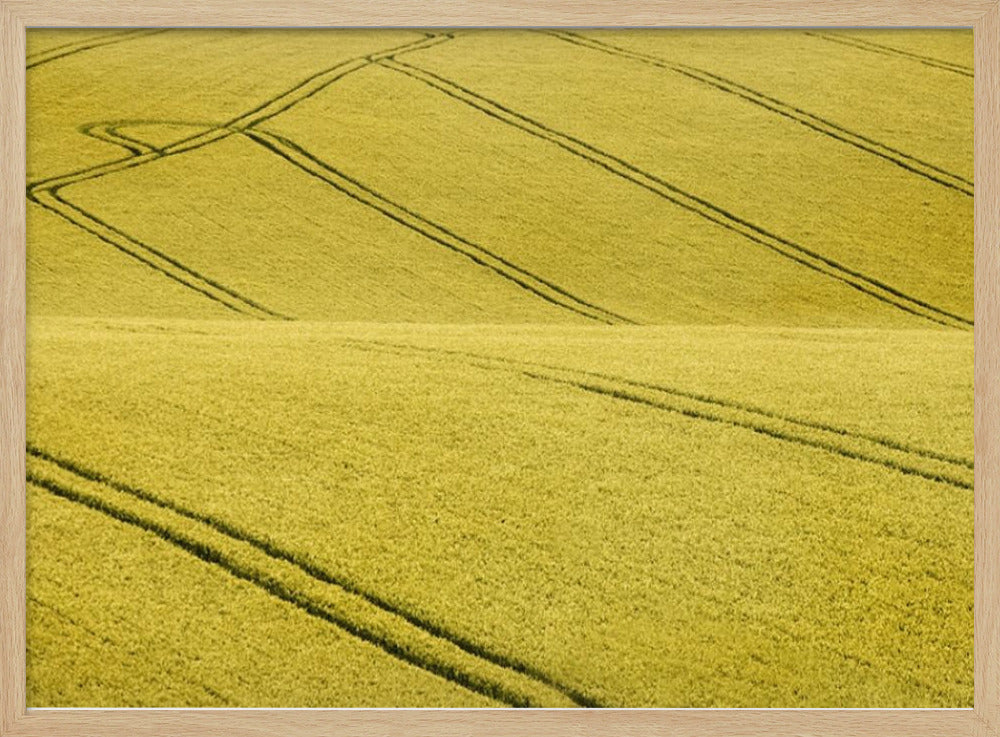 Veld #2 | Poster